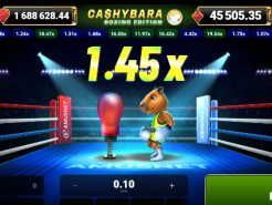 Cashybara Boxing Edition